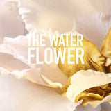 Parfum J’eau Water-Based Eau de Parfum 100ML – Alcohol-Free Fresh Fragrance - Savvy Steals