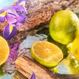 Citrus fruits, violet flowers, and driftwood representing the fresh and floral notes of Roja Parfums Oceania – Extrait de Parfum (100ml).